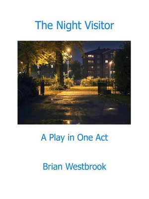 cover image of The Night Visitor